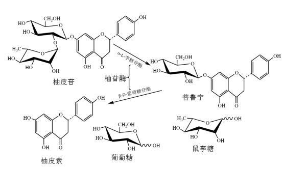 ¿Qué es la naringinasa? Introducción de naringinasa y descripción general de la aplicación. - Longchang Chemical