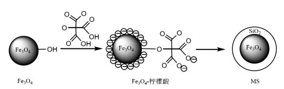 Parámetros experimentales de naringinasa inmovilizada sobre materiales magnéticos a base de silicio - Longchang Chemical