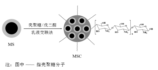 Parámetros experimentales de naringinasa inmovilizada sobre materiales magnéticos a base de silicio - Longchang Chemical