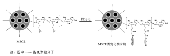 Parámetros experimentales de naringinasa inmovilizada sobre materiales magnéticos a base de silicio - Longchang Chemical