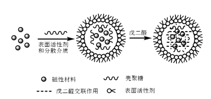 Descripción general de los métodos de inmovilización de enzimas en microesferas de biopolímero magnético - Longchang