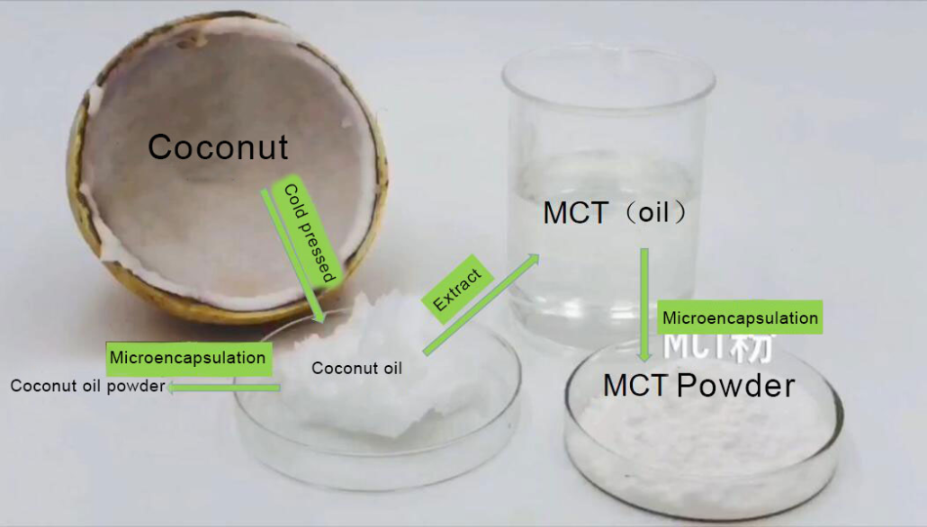 2022 La guía completa de aceite MCT en polvo: la guía definitiva - Longchang Chemical