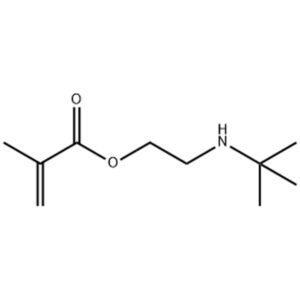 CHLUMICRYL® TBAEMA / 2-(terc-butilamino)metacrilato de etilo CAS 3775-90-4